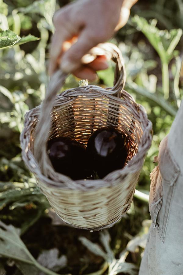 갈리아노델카포 Sikalindi Apulia 빌라 외부 사진